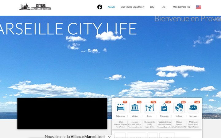 Aperçu du site Marseille City Life